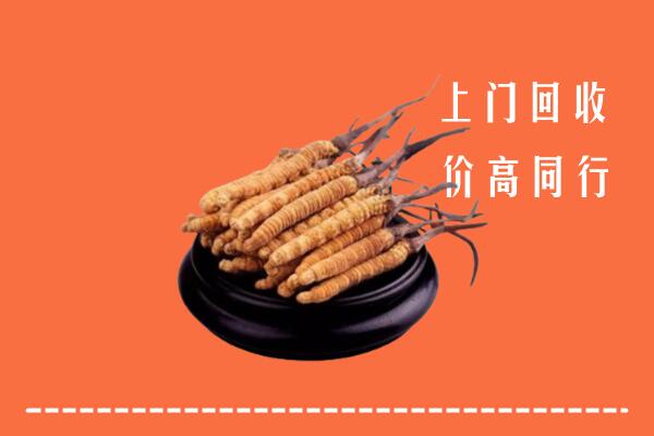 高价求购：阜新回收散虫草