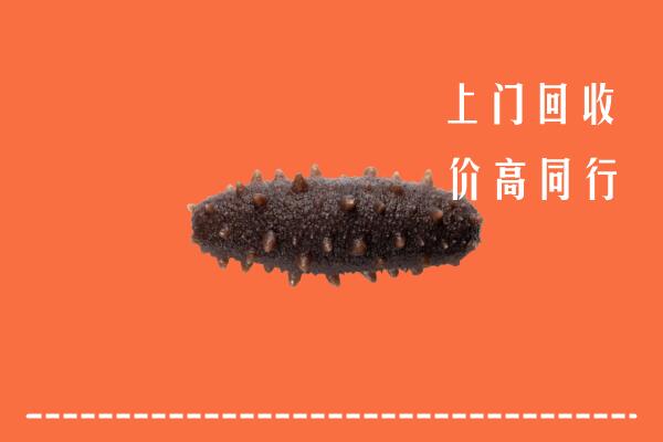 高价求购：阜新回收海参