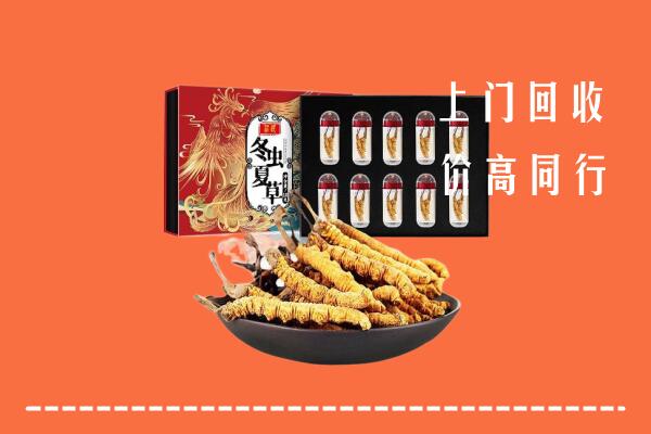 收购行情：阜新回收虫草